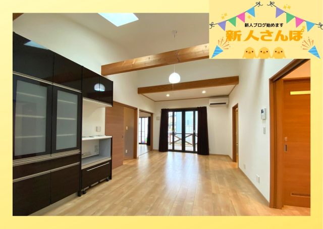 #16 新人自己紹介・西池 野乃夏