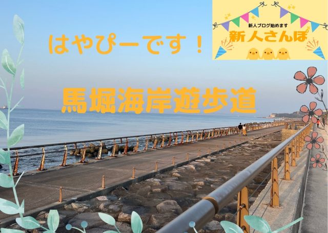 #20 ダイヤモンド富士と馬堀海岸遊歩道