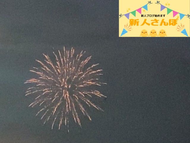#33 街を見る