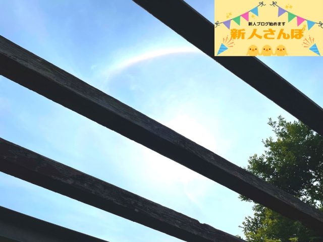 #60 夏の盛り