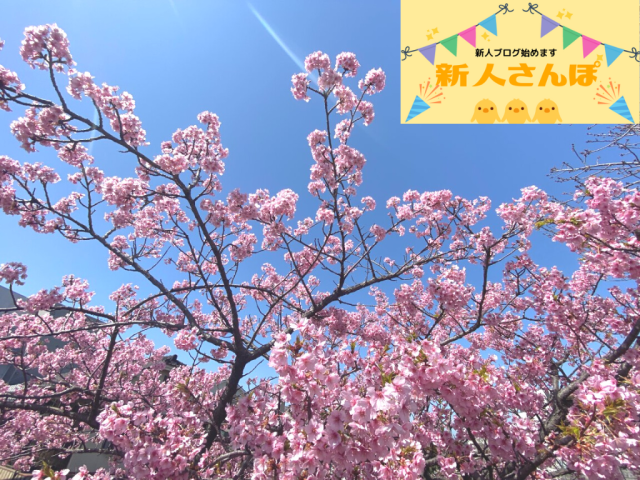 #44 初プチリノベーション