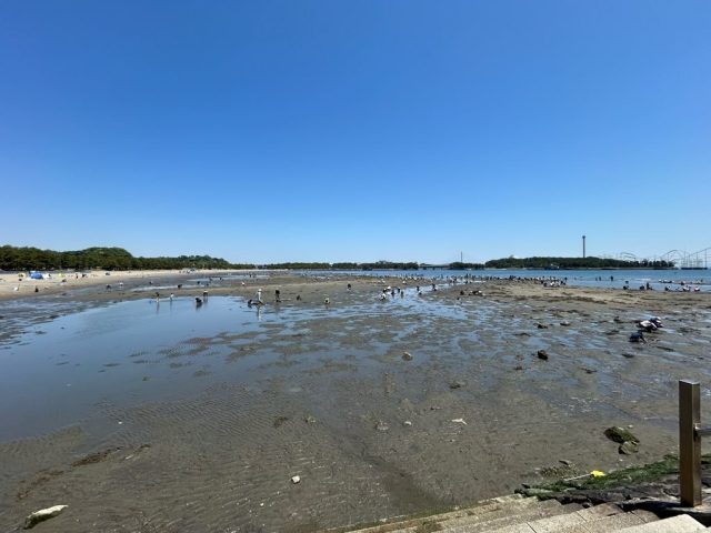 #127 潮干狩り