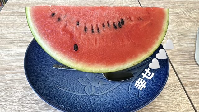 #163 はらみの夏休み🍉