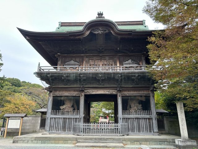 #191 紅葉🍁