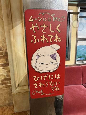#187 はらみの夏休み②🐈