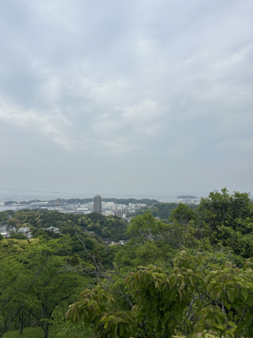 #209   長いだけじゃない