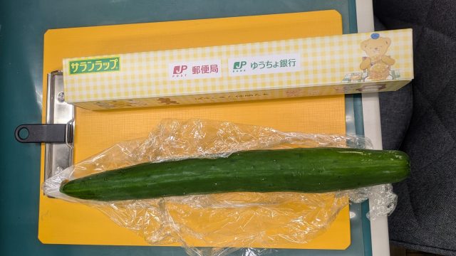 #230 きゅうり②