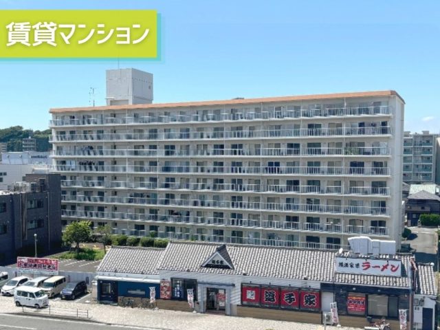 テレパレス横須賀【県立大学駅 徒歩10分・横須賀中央駅 徒歩14分】内装リフォーム済み&陽当り抜群の3DK!