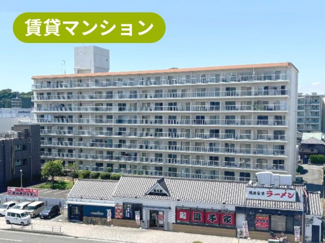 テレパレス横須賀【県立大学駅 徒歩10分・横須賀中央駅 徒歩14分】内装リフォーム済み&陽当り抜群の3DK!