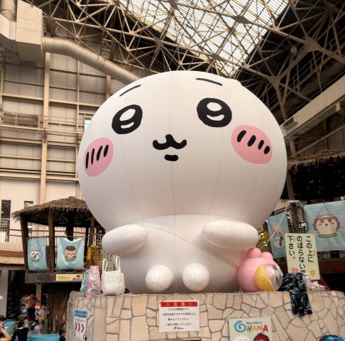 #234 家族でハワイアンズへ行ってきました！